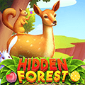 Hidden Forest